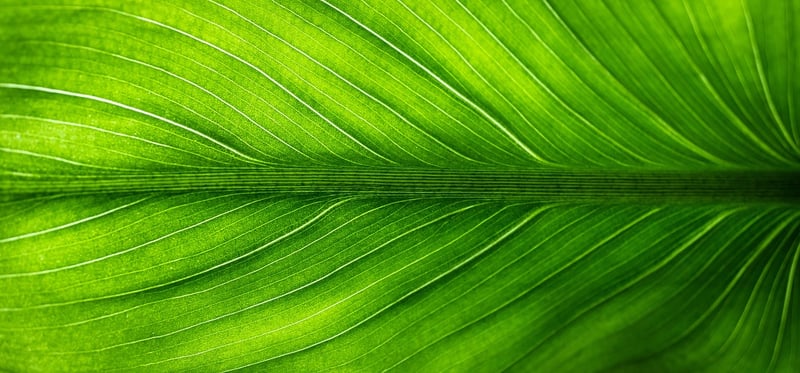 Eco-friendly interiors
